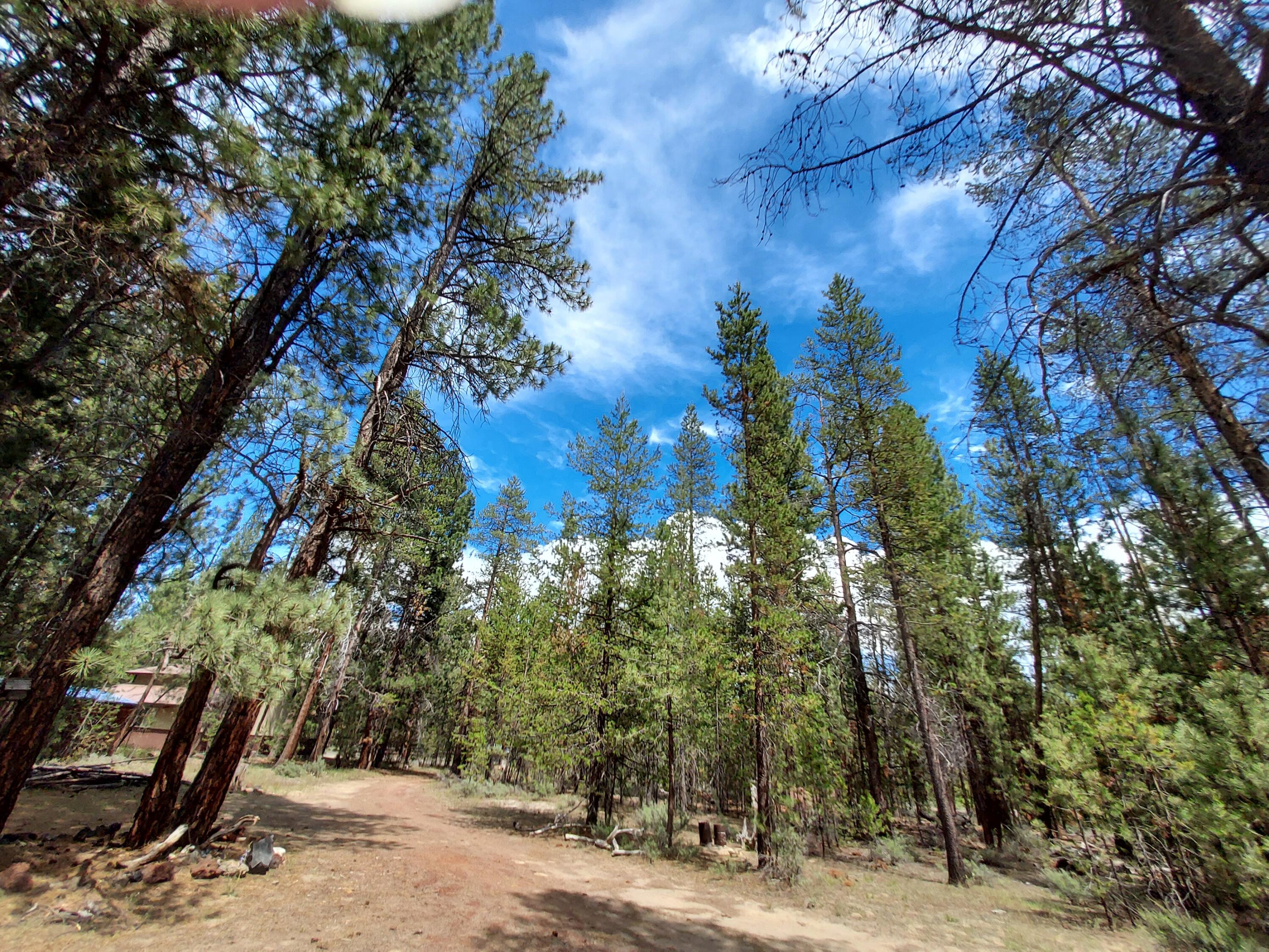 La Pine, Oregon 97739, United States, ,Land,Pending,51463