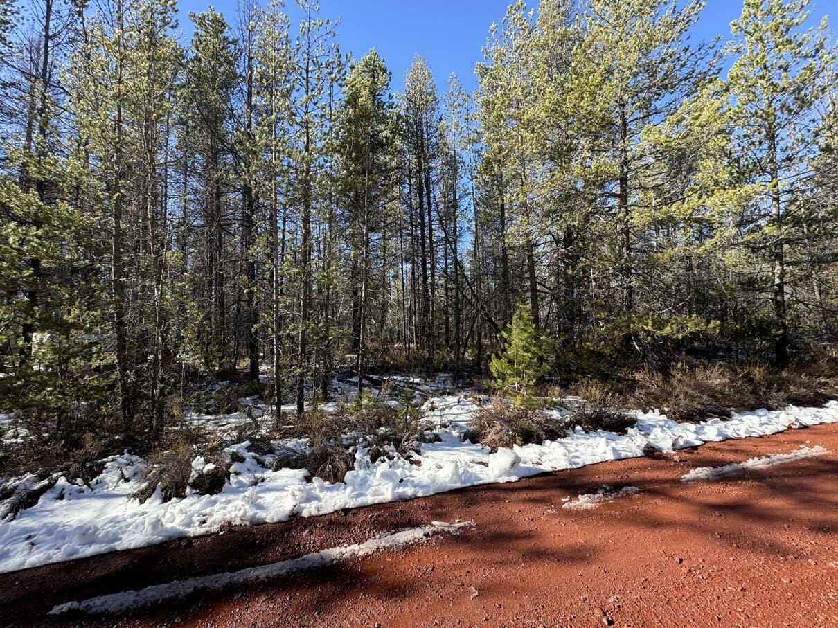 Listing image 8
