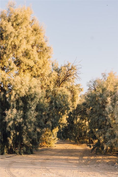 A home in 29 Palms