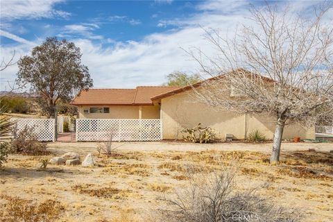 A home in Joshua Tree