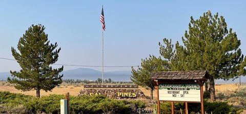 Photo of 0 Bobcat Drive, Alturas, CA 96101 (MLS # IG25062230)