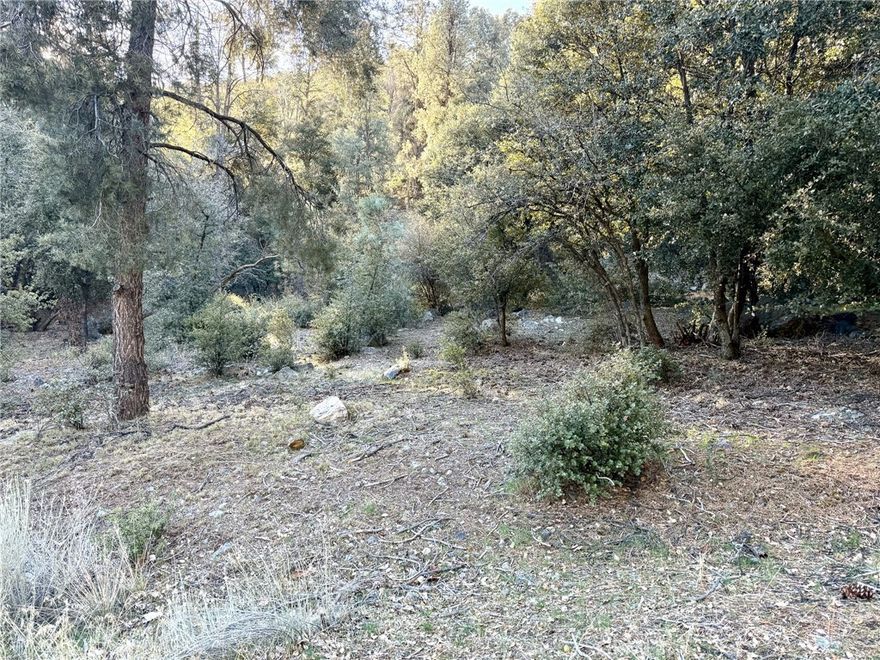 Nestled in the serene Los Padres National Forest, this stunning parcel of land in Pine Mountain Club offers an unparalleled opportunity to build your dream mountain retreat or vacation getaway. Known for its peaceful, small-town charm and breathtaking natural beauty, Pine Mountain Club is an ideal location for those seeking both relaxation and adventure. This land offers easy access to the village and main street to the freeway. With the unique positioning of this vacant land you also have duel access connecting through Plum Way and/or Mil Potrero Hwy.