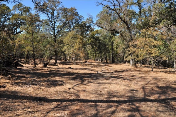 205 CYNTHIANN LN, OROVILLE, CA 95966 - Image 0304891dc0e5edb969b7d91ca612d0dc/1069578702