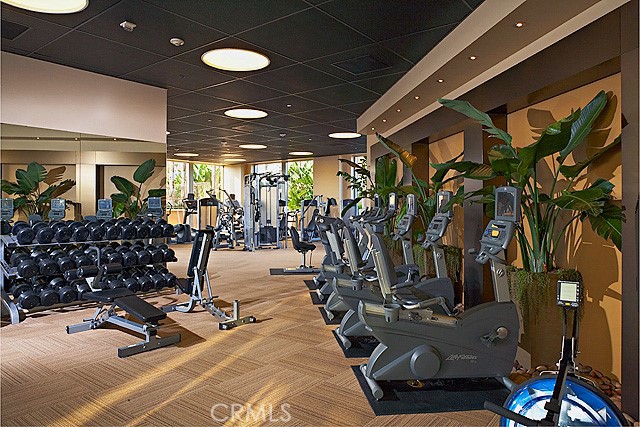 The Plaza (5000 and 8000) (PLZA) - Residential