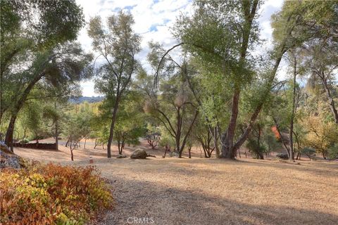 A home in Mariposa