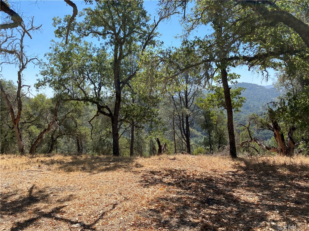 PR Rural West(250) - Residential