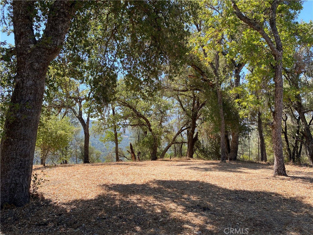 PR Rural West(250) - Residential