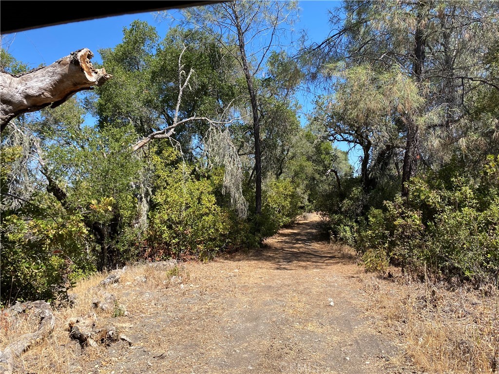 PR Rural West(250) - Residential