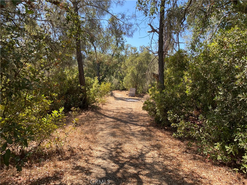 PR Rural West(250) - Residential