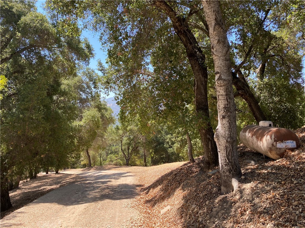 PR Rural West(250) - Residential