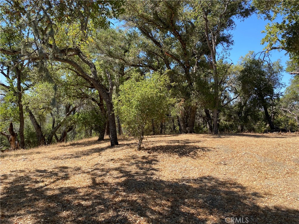 PR Rural West(250) - Residential