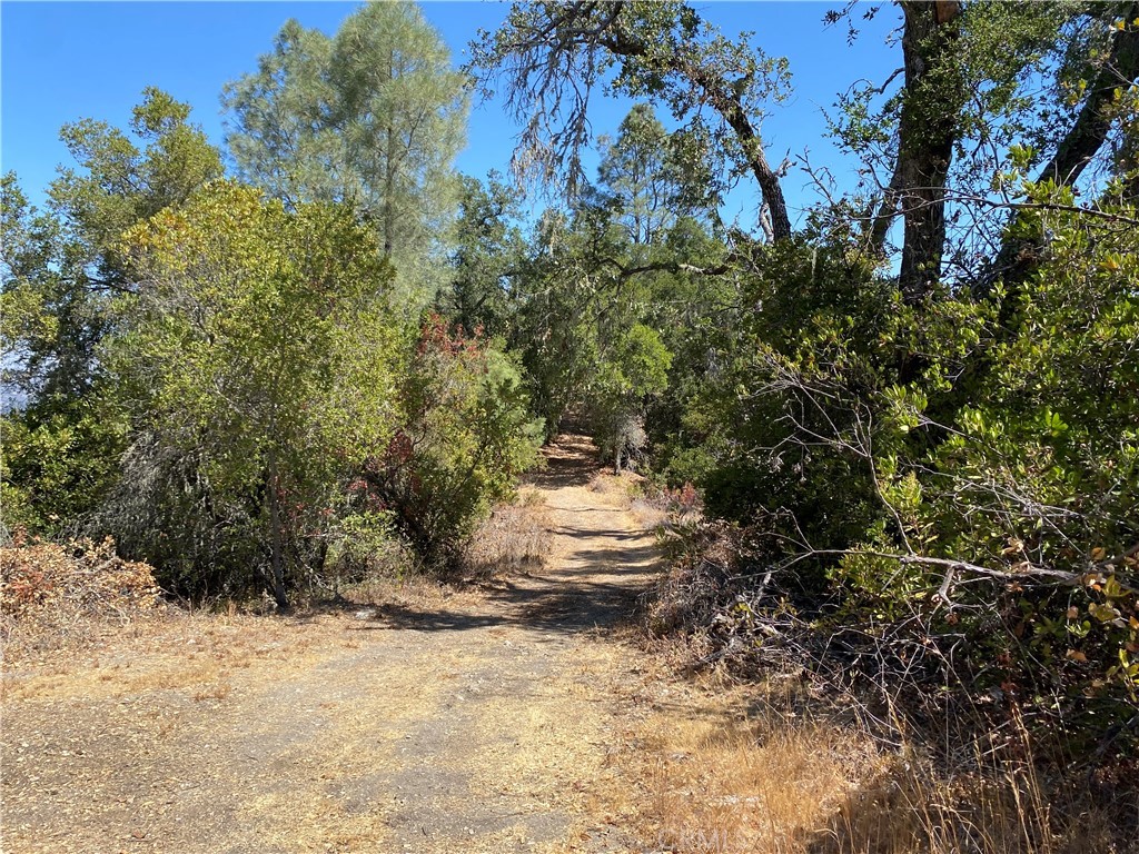 PR Rural West(250) - Residential