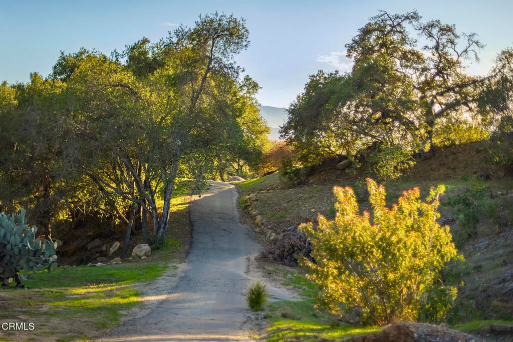 Ojai, California 93023, United States, 3 Bedrooms Bedrooms, ,4 BathroomsBathrooms,Residential,Active,83018