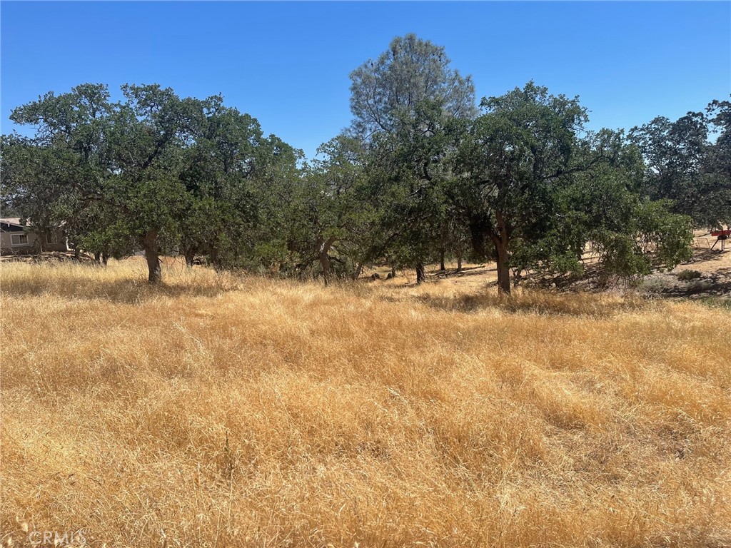 Great location nice lot