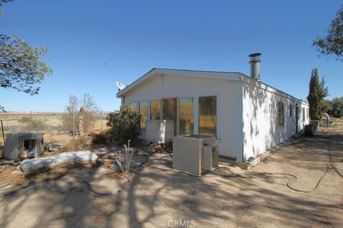 A home in Newberry Springs