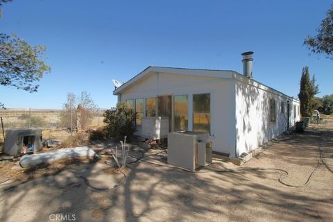 A home in Newberry Springs