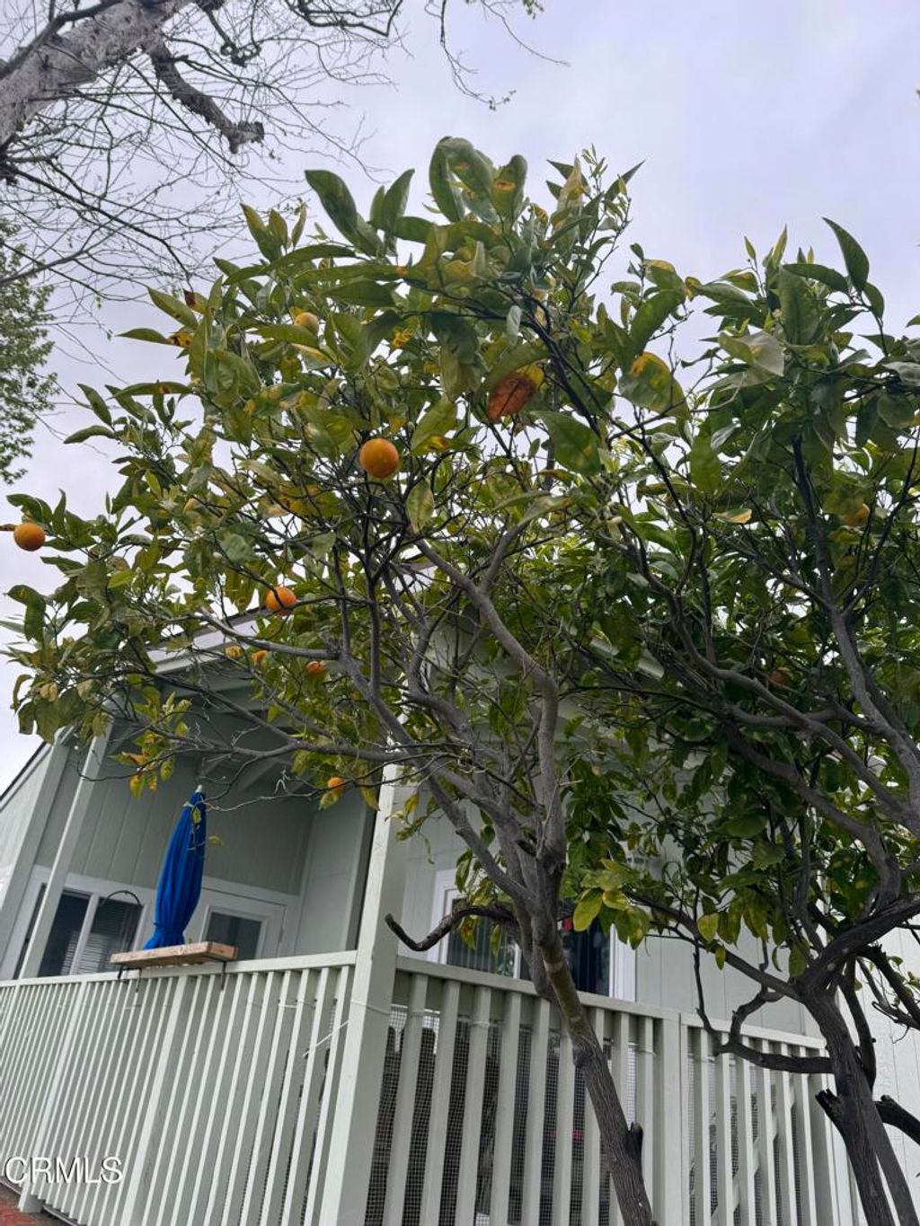 listing image 64