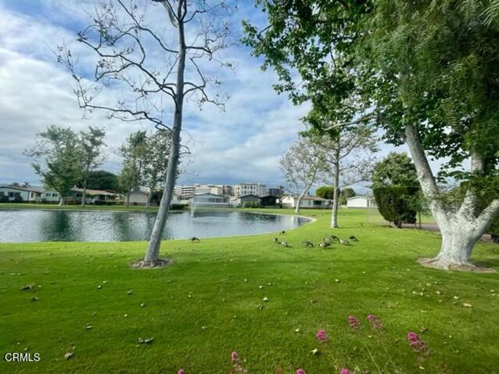 listing image 30