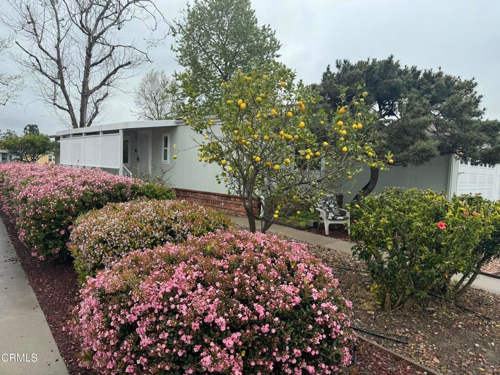 listing image 54