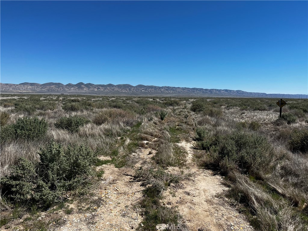 OWNER WILL CARRY! Looking for 25-35% down and other terms can be negotiated. Located in the desirable West side of the California Valley. This lot is 2.5 acres of flat, usable land ready for you to make it your own. This parcel is just off of the main Soda Lake Rd that connects a lot of the interconnecting roads throughout the valley. You will also notice it is close to active power lines ready for your utilities. This owner also has 2 more lots for sale out on the East side of the valley located at 0 Annette Trl (084-171-043) and 0 Bend Rd (084-371-040). Many people live out there full-time, or park their trailer for a weekend of hikes and 4x4. Lots of space for your animals too. Take a drive out and see for yourself today!