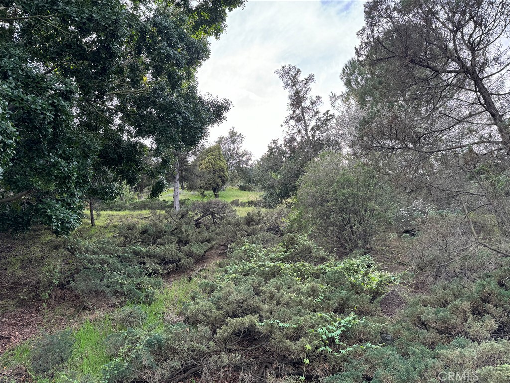Properties 4 2485 Jupiter