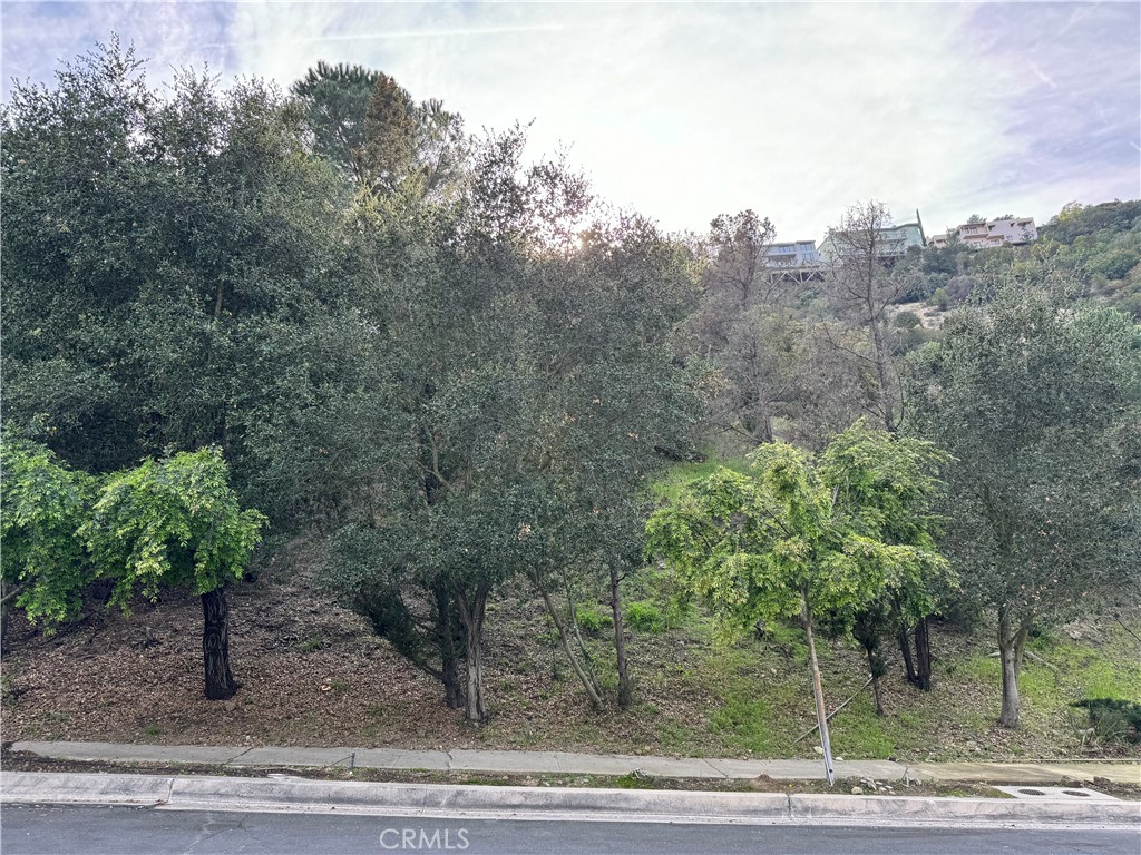Properties 2 2485 Jupiter