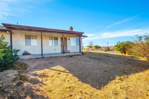 A home in Joshua Tree