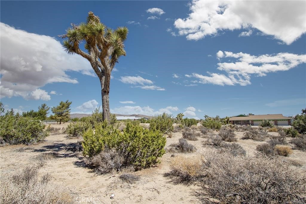 Dollars views! Come take a look at this beautiful piece of property nestled up in the Rancho Mesa area of Yucca Valley. SEE THE VIDEO ABOVE! Mature lMillionandscaping, Views, Views, Views! Looking for the perfect spot to build your dream home? THIS IS THE PROPERTY! The beautiful, secluded area has breathtaking panoramic views! Completely private and quiet location yet just a couple of miles from town. Enjoy the full view of the stars and wildlife. Close to Pioneertown, Joshua Tree National Park, and 29 Palms Marine Base. Plenty of room for your family, horses, and off-roading toys. Don't miss out on this piece of property in one of the most desirable neighborhoods of Yucca Valley! It has great views in every direction. Sunrises and sunsets are amazing! Peace and quiet and best of all no traffic! The roads are maintained routinely by the Home Owners Association. Power, water, and telephone are available on the property. The address is not a legal address only used for marketing purposes.
Call the Town of Yucca Valley planning department for your building and development questions. A MUST-SEE!.