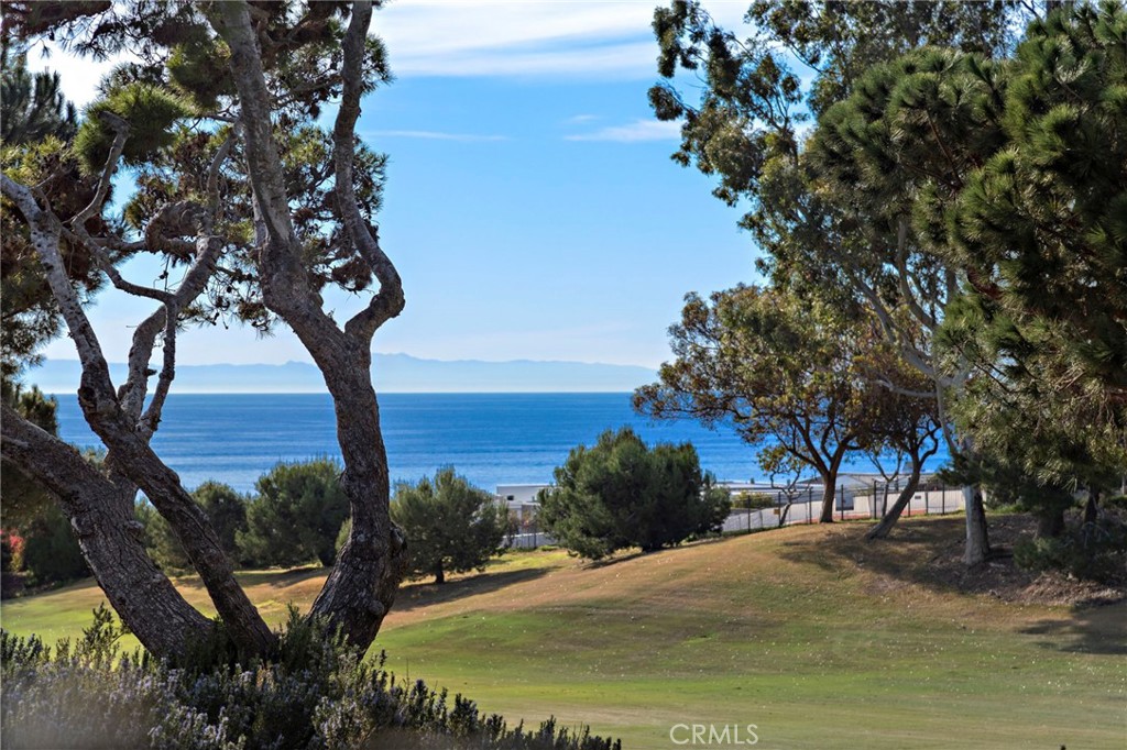 3 Shoreline