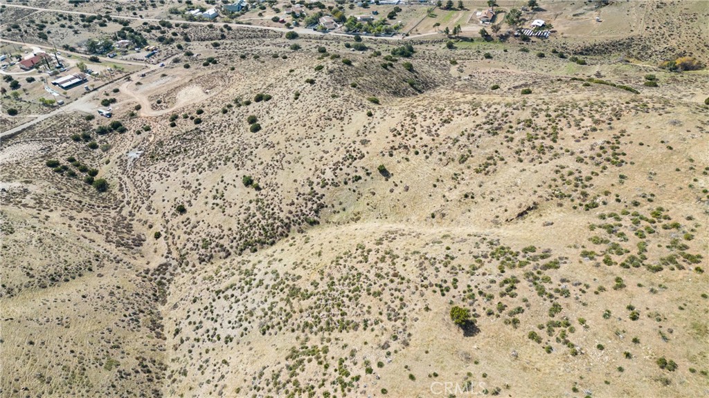 Custom Acton (CACTO) - Land