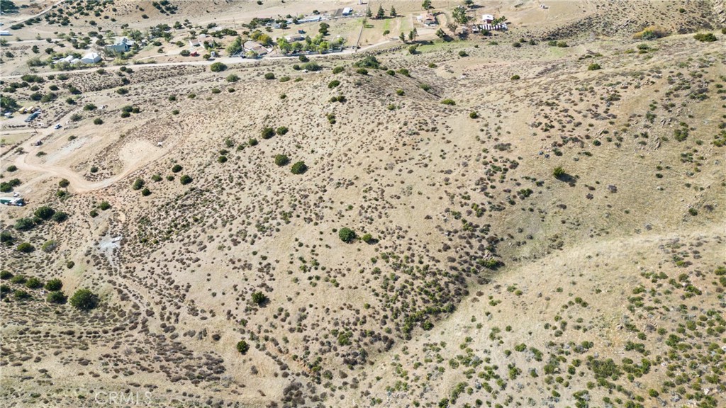 Custom Acton (CACTO) - Land