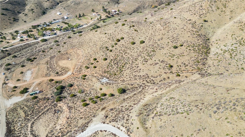 Custom Acton (CACTO) - Land