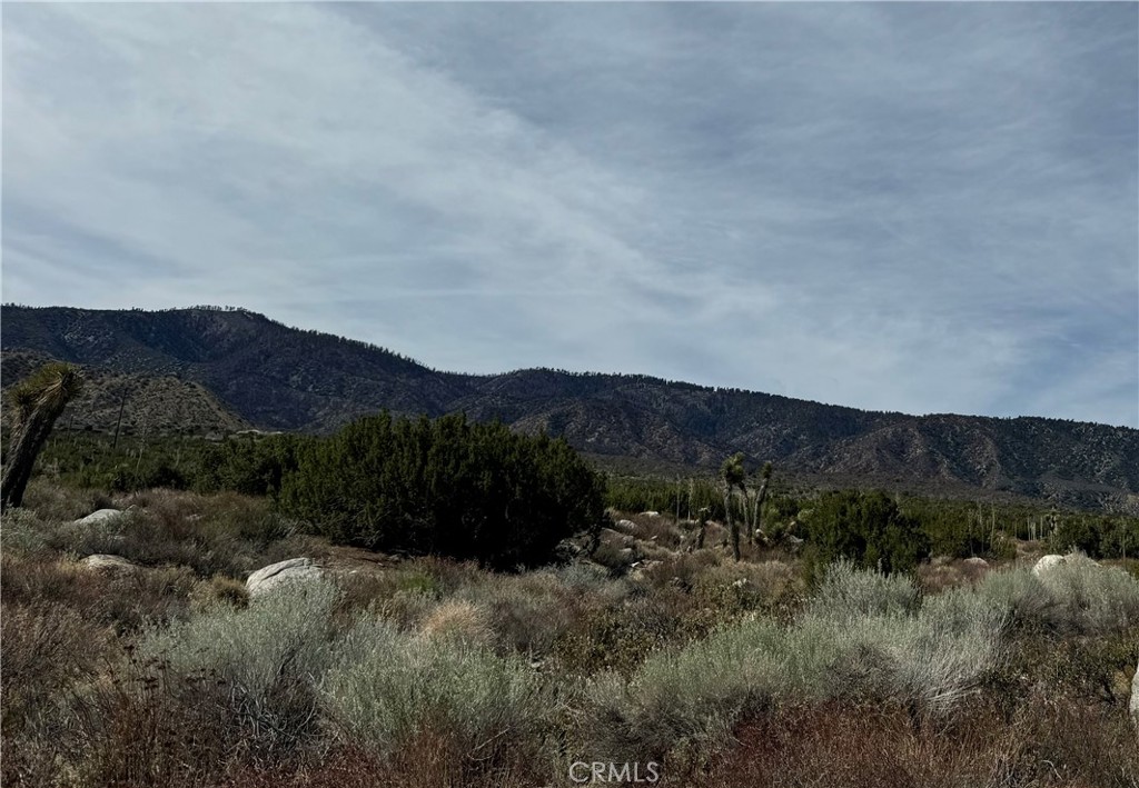 9.8 ACRES OF DESERT SOLITUDE. Almost 10 acres of privacy in the desert. This property is a blank slate to bring your animals or toys and enjoy the desert. Property is on south side of Hwy 138 on the LA County side. There is no direct road access.