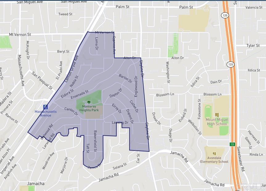 Main image without alt text