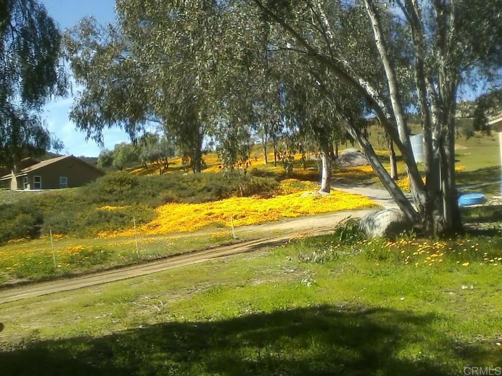 9848 50 Vista Viejas