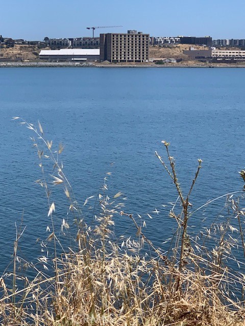 0 Ingerson Avenue