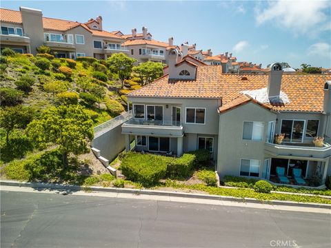 A home in Laguna Niguel