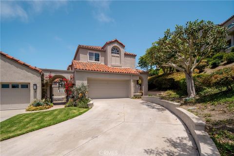 A home in Laguna Niguel