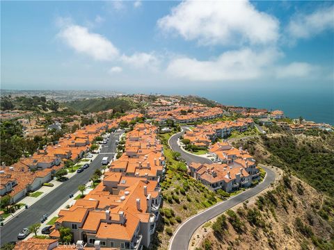 A home in Laguna Niguel