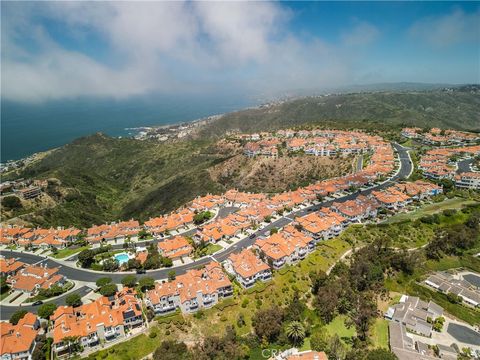 A home in Laguna Niguel