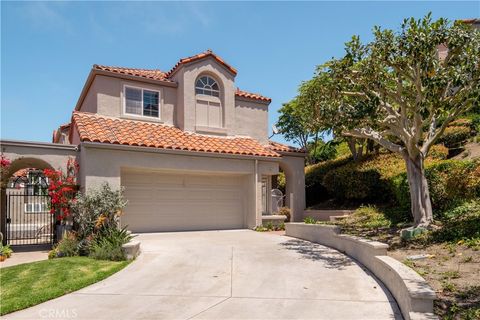 A home in Laguna Niguel