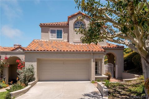 A home in Laguna Niguel