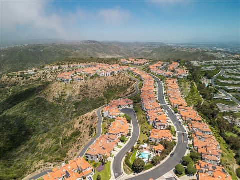 A home in Laguna Niguel