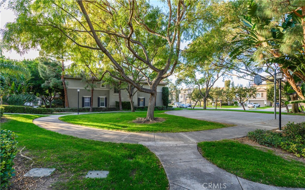 Photo 59 of 73 of 2 Staghorn condo