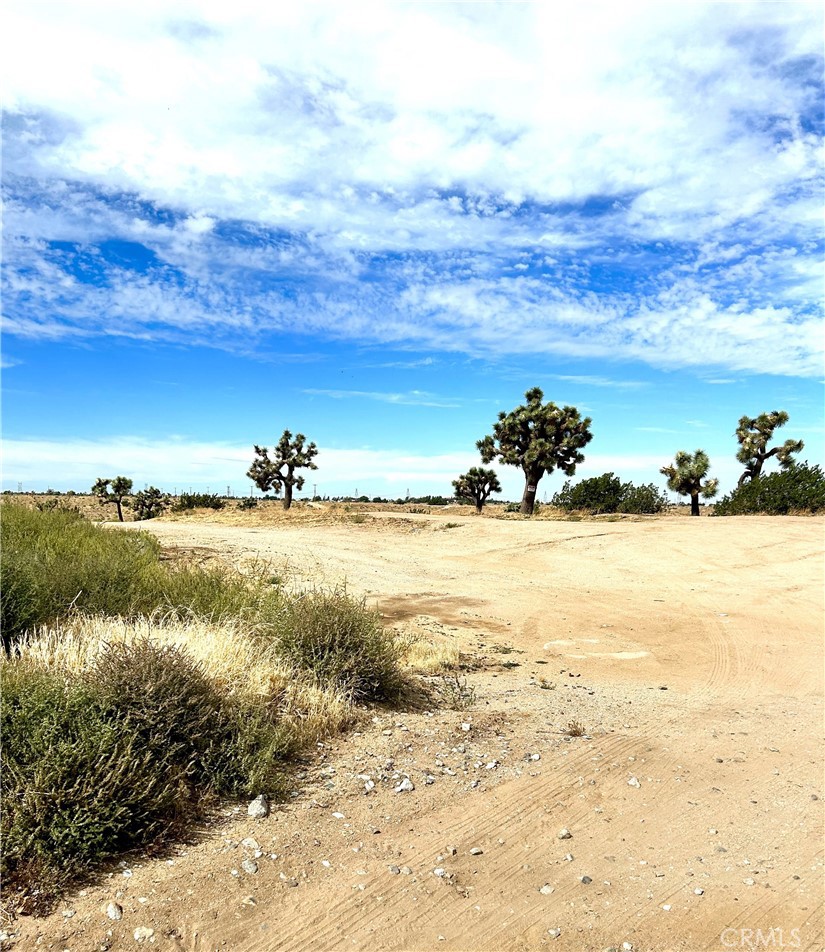 5 acres in Helendale. Approximately 20 minutes to Victorville.