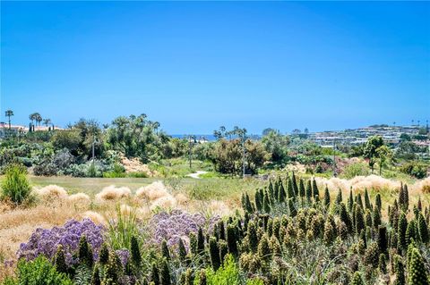 A home in Dana Point