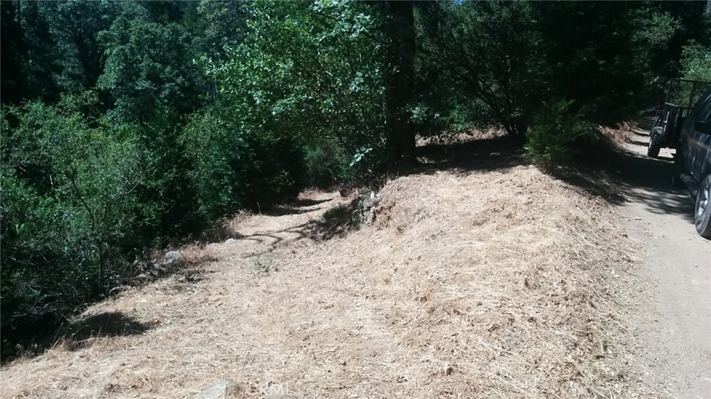 THIS IS A LAND LISTING LOT SIZE IS 3,480 SQ. PROPERTY IS ZONED CF/RS-1 THIS WAS THE SITE OF A CABIN BUILT IN THE 1920'S WITH LOTS OF STONE WALLS AND REMEANTS REMAINING. THERE IS MATURE TALL SHADE TREES FROM THE PROPERTY, YOU CAN HEAR THE FLOWING WATER OF THE NEARBY YEAR-ROUND CREEK. THERE IS CELL RECEPTION IN THE AREA. PROPERTY IS VERY CLOSE TO THE NATIONAL FOREST BOUNDARY WITH MILES OF DIRT ROADS TO EXPL0RE WITH OFF ROAD VEHICLES OR USE OF HORSES, AREA IS A VERY QUIET AND PRIVATE.
