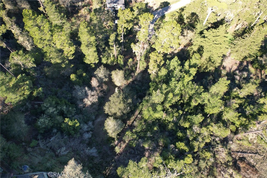 Lodge Hill(430) - Land