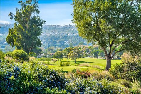 A home in Laguna Niguel