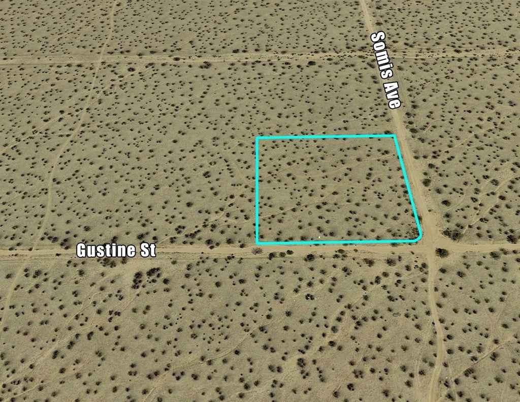 0 Gustine Street